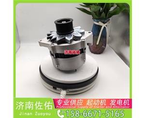 厦门610800090020起动机0350005011 潍柴 发电机 Doosan Forklift GC25P G642